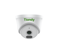 TC-C320N Spec:AK/I3W/E/Y/2.8mm/V2.0. Видеокамера IP купольная. Tiandy