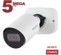 Видеокамера IP цилиндрическая SV3210RCB (3,6 мм) Beward