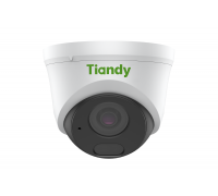 TC-C32HN I3/E/Y/C/2.8/V4.2. IP-видеокамера купольная. Tiandy